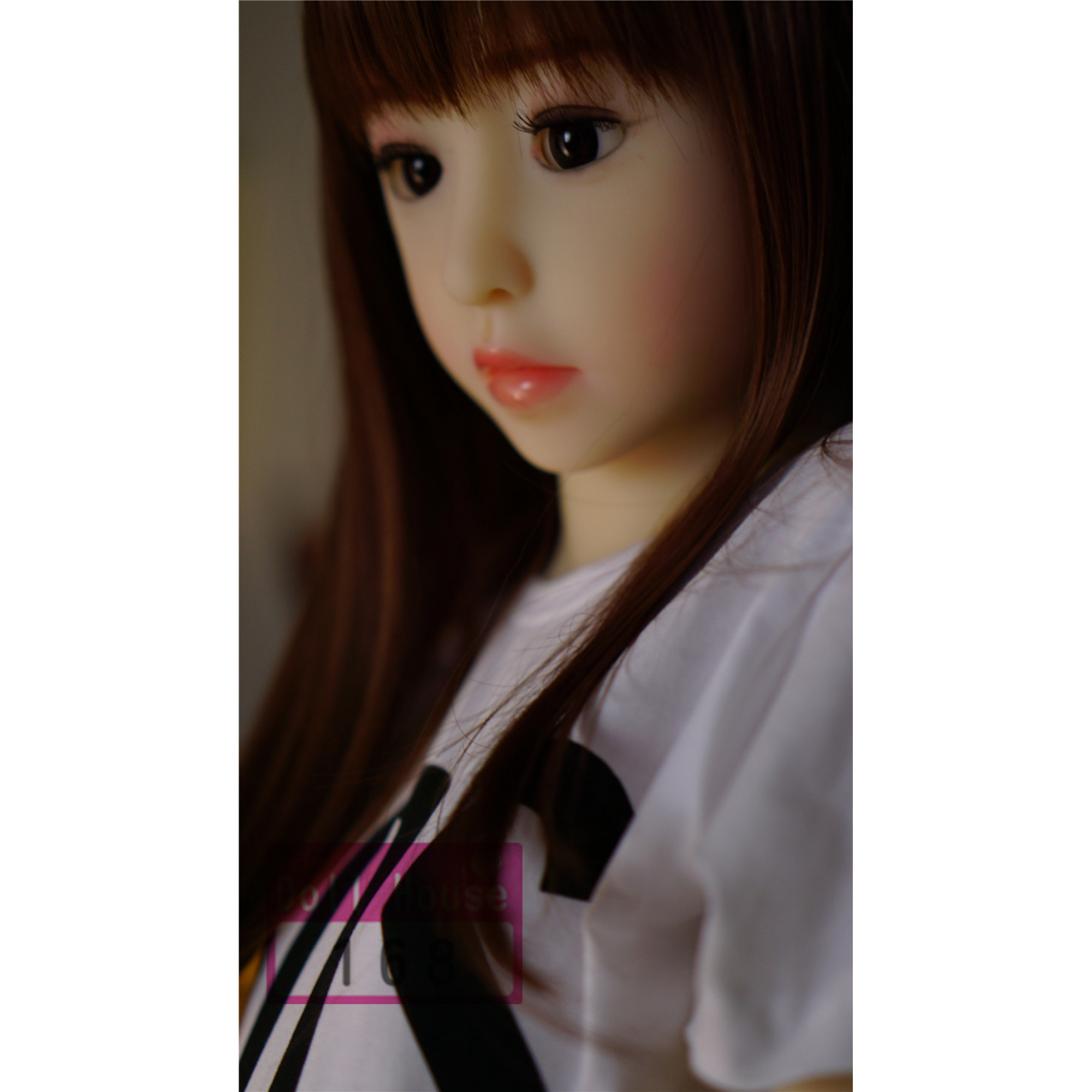 dollhouse168